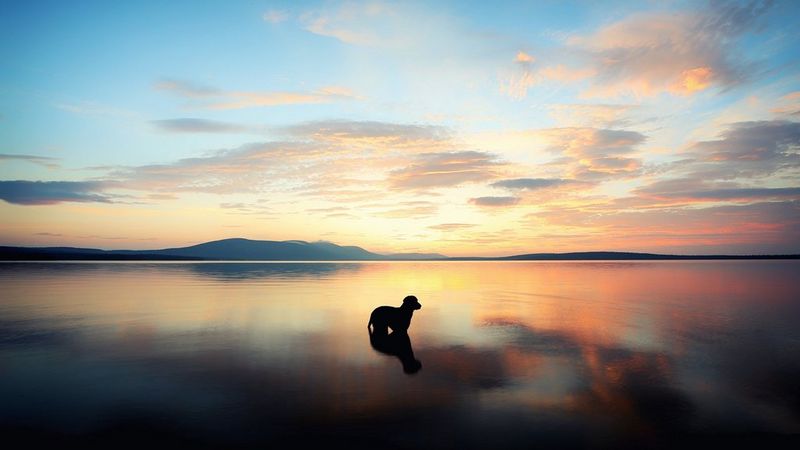 Kaffegram story photo 4